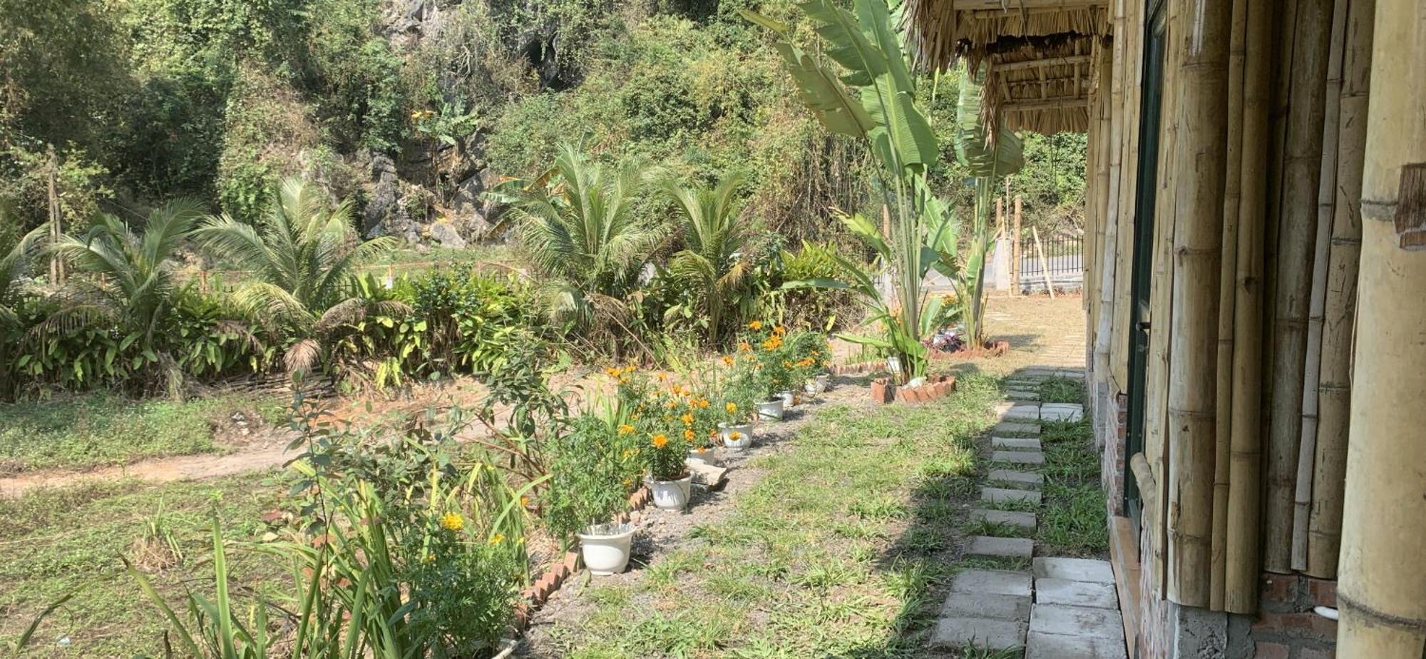 Cat Ba Island Garden Homestay - Papillon Εξωτερικό φωτογραφία