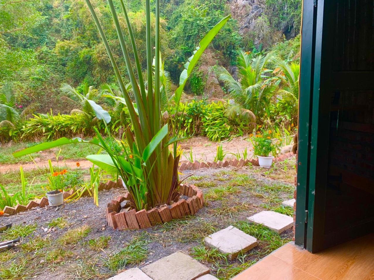 Cat Ba Island Garden Homestay - Papillon Εξωτερικό φωτογραφία
